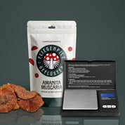 Fliegenpilzhüte Starterset - Fliegenpilzgeflüster 🍄