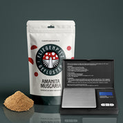 Fliegenpilzpulver Starterset - Fliegenpilzgeflüster 🍄