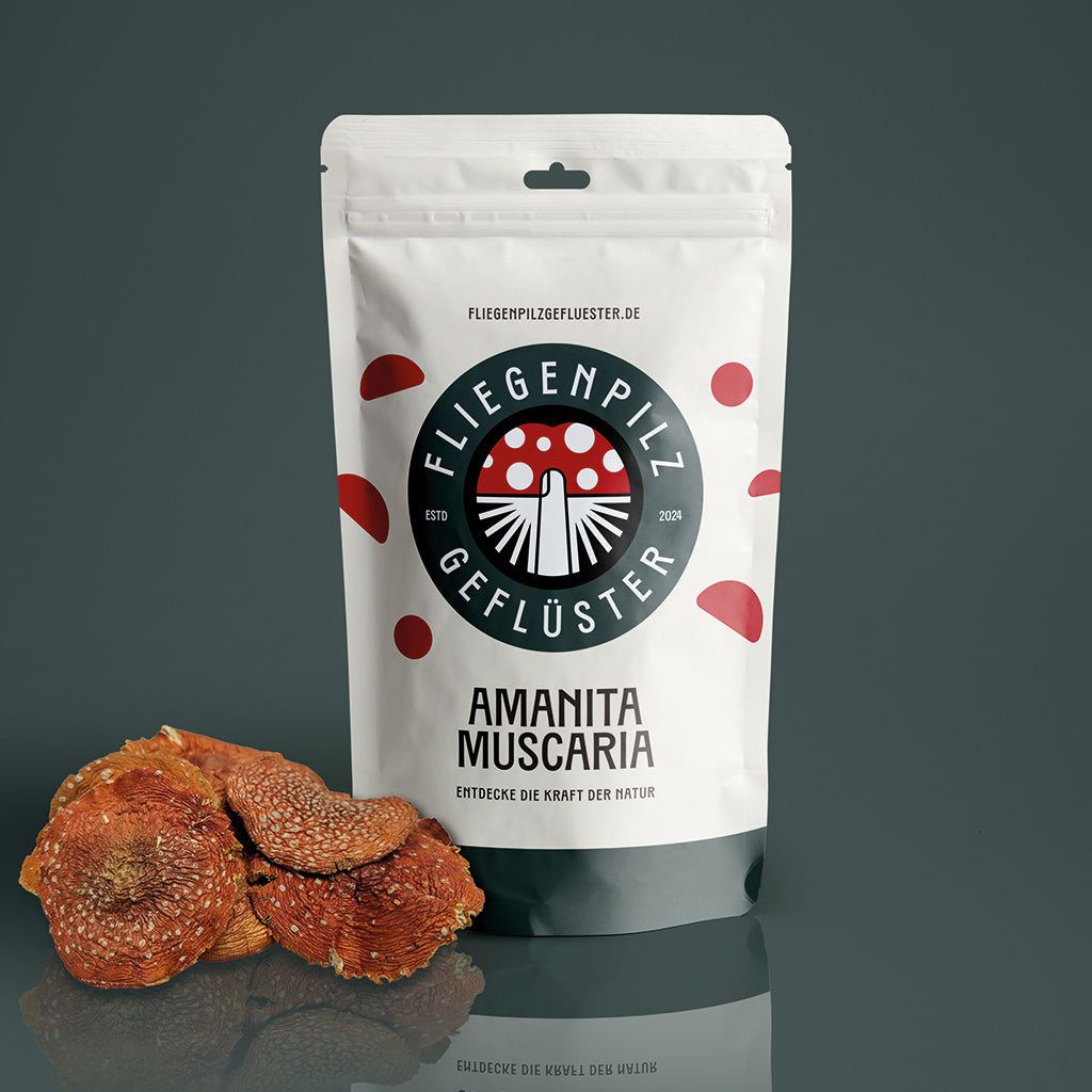 Fliegenpilzhüte - Fliegenpilzgeflüster 🍄